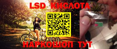 СК Краснодар