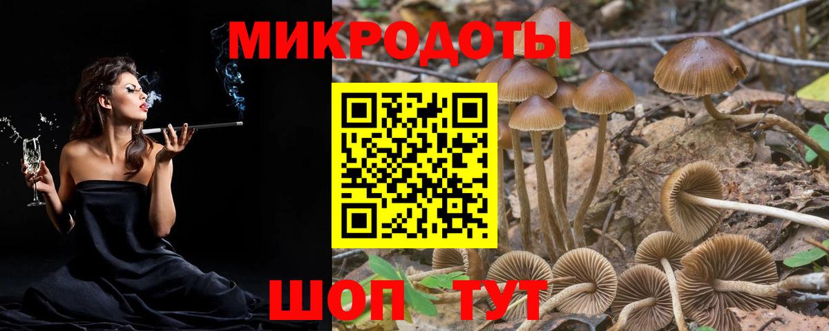 Галлюциногенные грибы прущие грибы Стерлитамак
